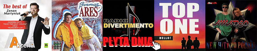 PŁYTA DNIA 1/2025